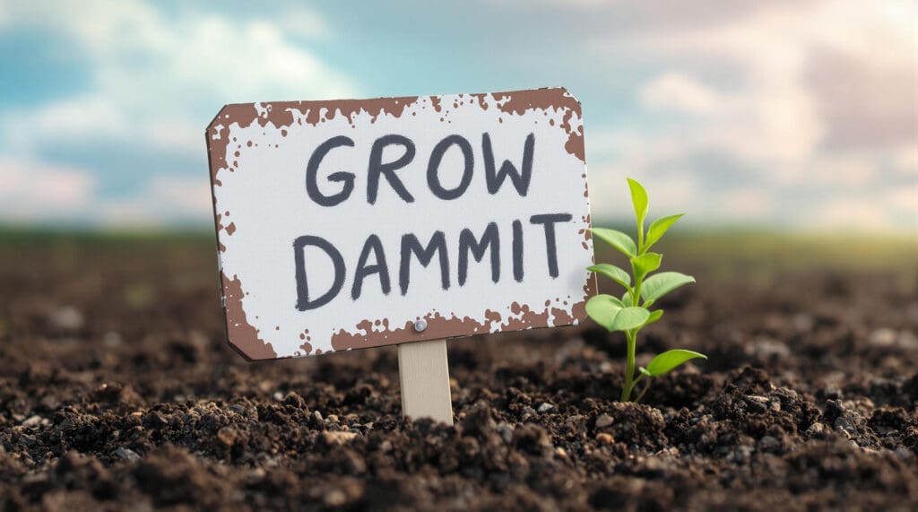 Driving Success with Product-Led Growth